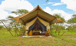 serengeti tented lodge