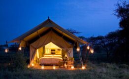 serengeti-under-canvas