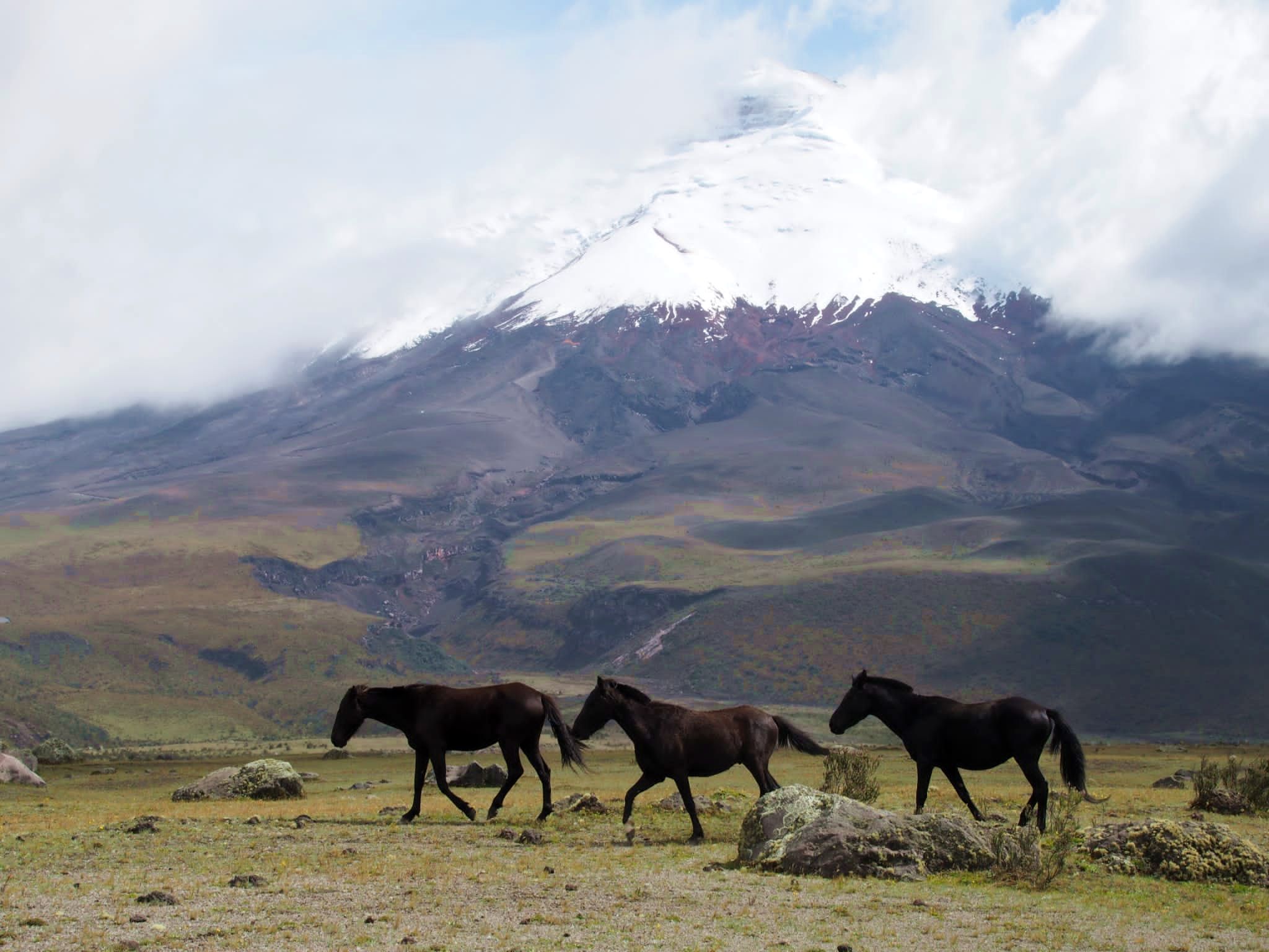 Wyprawa na Chimborazo i Cotopaxi - przybliżamy niuanse zdobywania szczytów Ekwadoru